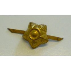 Ljtnant/kaptajns stjerne, Danmark