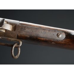Denmark : Remington Horseman Carbine M/1867