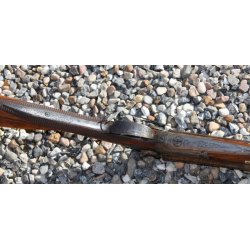 Old side by side pin-fire shotgun