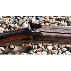 Old side by side pin-fire shotgun