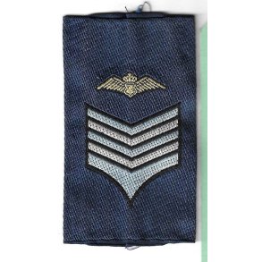 Flyvevbnet skuldersljfe, flyverspecialist forvaltningen