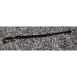 Preussen : Sbel f. Unteroffiziere 1900-1930