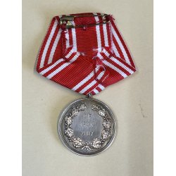Forsvarets Tjenestemedalje i s�lv - OIF IRAK 2007 + 2008