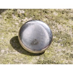 Blanke knapper - 13 mm