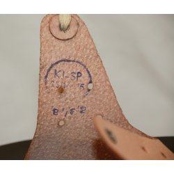 Bulgarien ? Modell ?