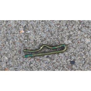 Pin til pstning af mrker - Gl. type