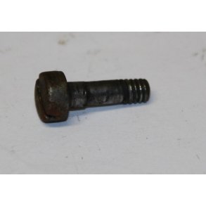 Screw f. sling swivel