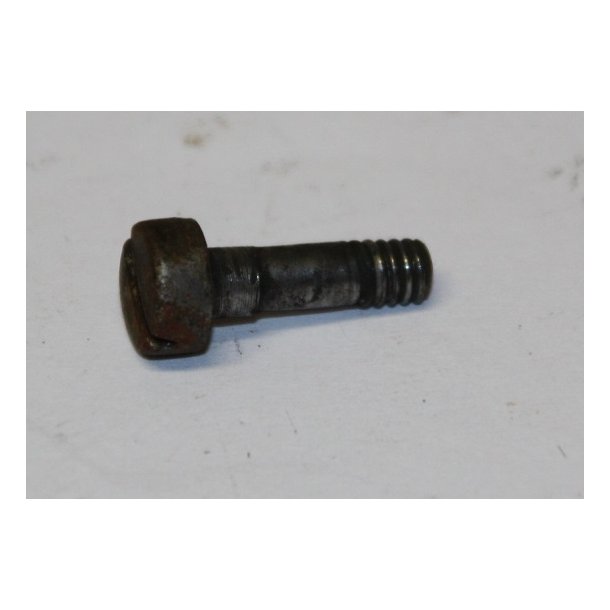 Screw f. sling swivel