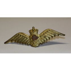 Flyvevbnet: Flyveelever i udlandet