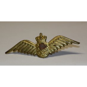 Flyvevbnet: Flyveelever i udlandet