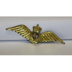 Flyvevbnet: Flyveelever i udlandet