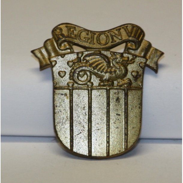 Hjemmevrnet: REGION VIII - hjre