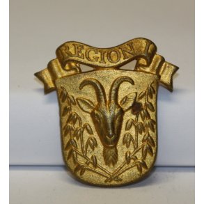 Hjemmevrnet: REGION I