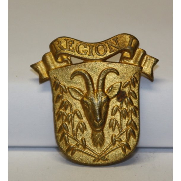 Hjemmevrnet: REGION I