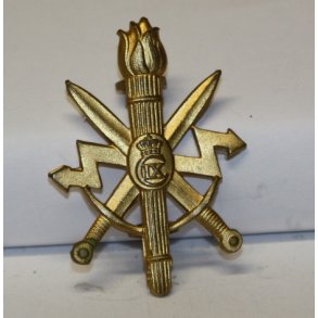 Sjllandske Telegraf Regiment