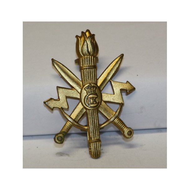 Sjllandske Telegraf Regiment