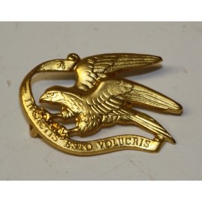 Danmark : Gardehusarregiment