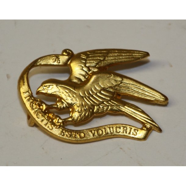 Denmark : Gardehusarregiment