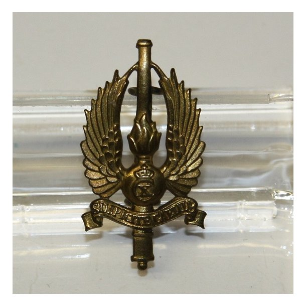 Jydske Luftvrnsregiment