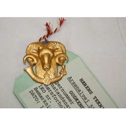 19. Bataljon Jyske Jgerkorps - fra 1961 2. Sjllandske Brigade. Godkendt udfaldsprve fra 1994