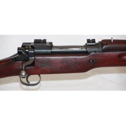 US P17 Rifle ex Greenland