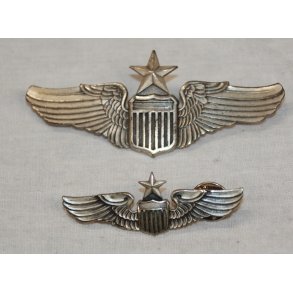 U.S.A. Air Force Amy Wing Pin (2) - Senior Pilot