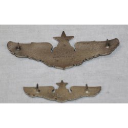 U.S.A. Air Force Amy Wing Pin (2) - Senior Pilot