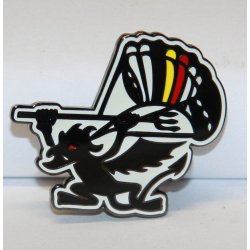 Belgien : Pin - 25x30 mm