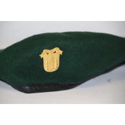 Dnemark : Grne Baret mit abzeichen von Hjemmevrnsregion VI (DK)