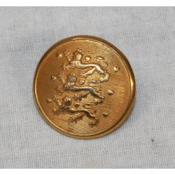 Lveknap, gylden - 20 mm