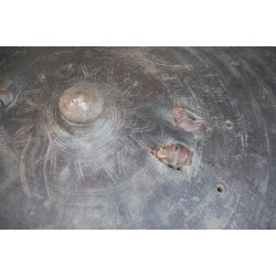 Nordafrika: antikes Elefantenleder Schild