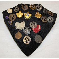 Schweden : Tafel mit 20 Stck. Schtzenabzeichen, pins und Medaillen (20)