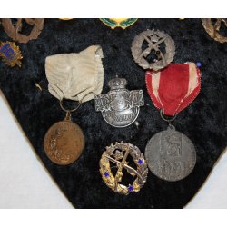 Schweden : Tafel mit 20 Stck. Schtzenabzeichen, pins und Medaillen (20)