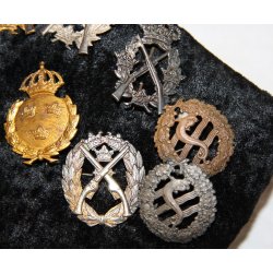 Schweden : Tafel mit 20 Stck. Schtzenabzeichen, pins und Medaillen (20)