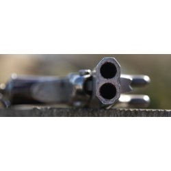 Dobbeltlbet pinfire pistol