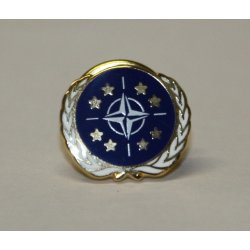 NATO pin
