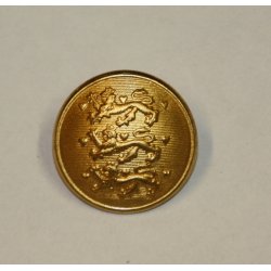 Lveknap, gylden - 20 mm