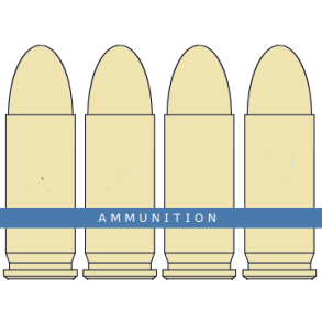 Norma 7 x 65R FMJ 150 grains/9,7 g