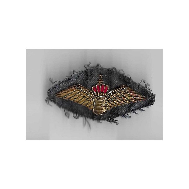 Flyvevbnet - rmeemblem officerer