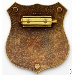 US Marshall badge