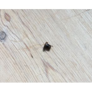 04 Screw for front sight