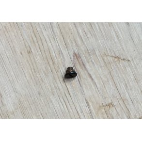 18 Screw for ring (Magazine tube)