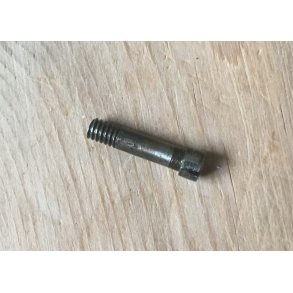 20 Screw, rear, left