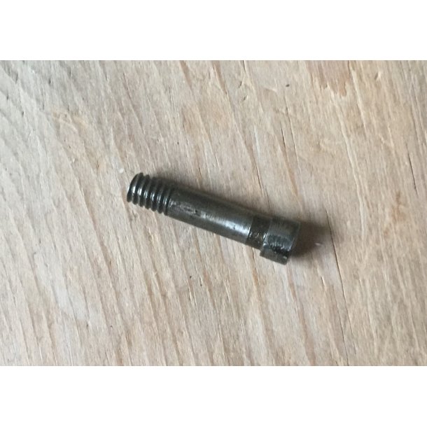 20 Screw, rear, left