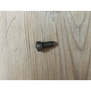 20 - Screw for head