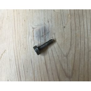 25 - Screw for trigger spring