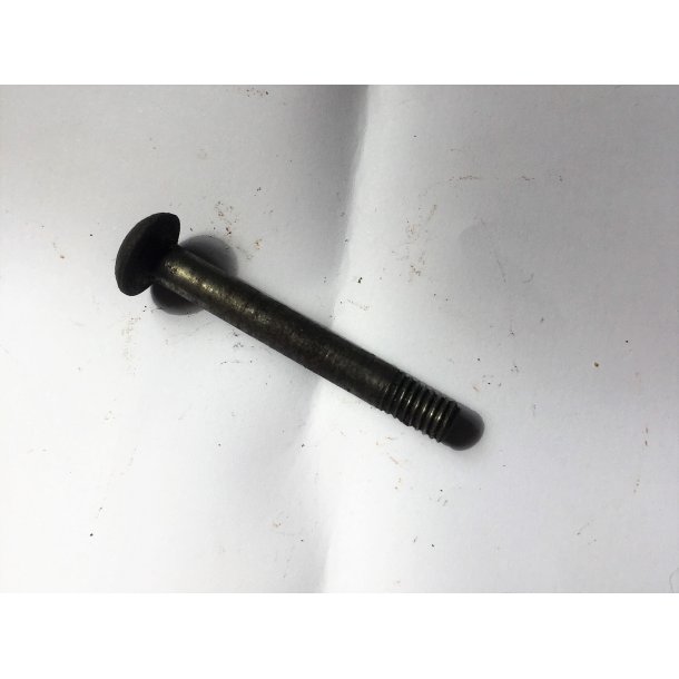 27 - Screw with round head