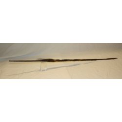 AFRIKA : Congo 1 Fischenspeer