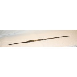 AFRIKA : Congo 1 Fischenspeer