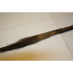 AFRIKA : Congo 1 Fischenspeer